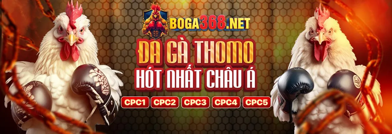 Mẹo Chơi Baccarat Thắng Lớn