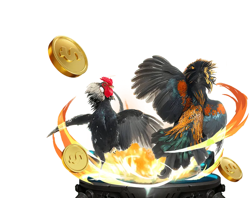 Hình ảnh giới thiệu về nền tảng cá cược uy tín SIN88.CC